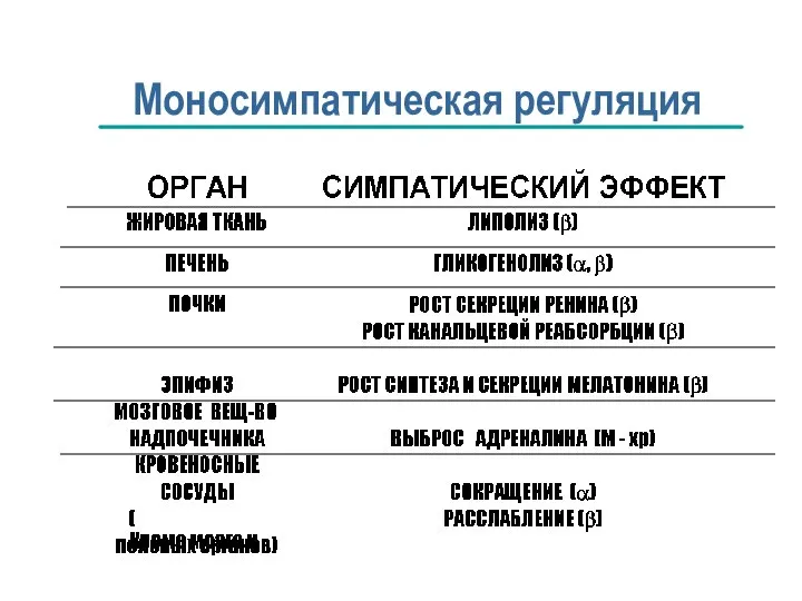 Моносимпатическая регуляция