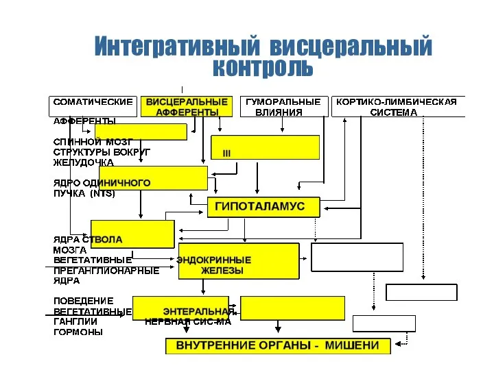 Интегративный висцеральный контроль