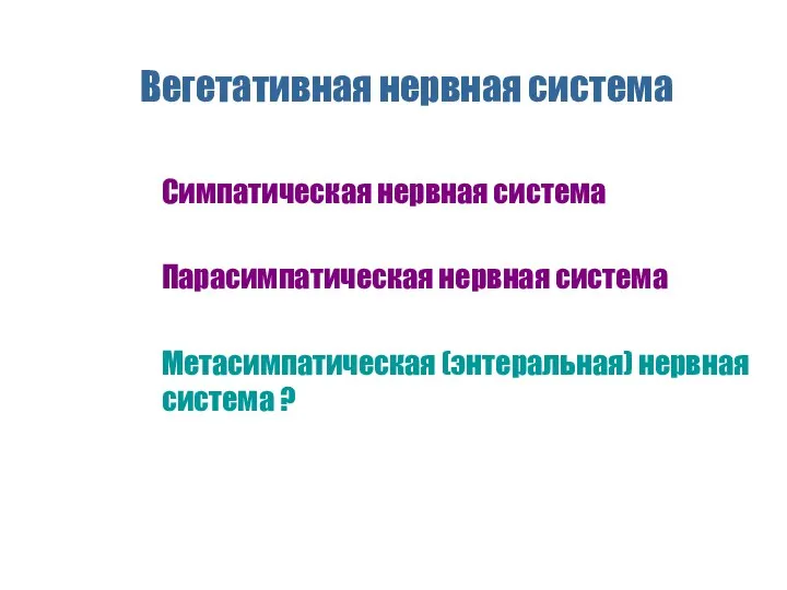 Вегетативная нервная система Симпатическая нервная система Парасимпатическая нервная система Метасимпатическая (энтеральная) нервная система ?