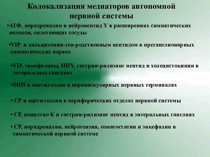 Колокализация медиаторов автономной нервной системы АТФ, норадреналин и нейропептид Y в