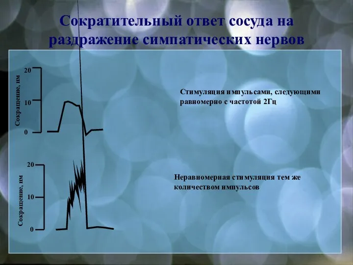 Сократительный ответ сосуда на раздражение симпатических нервов Сокращение, нм 0 10