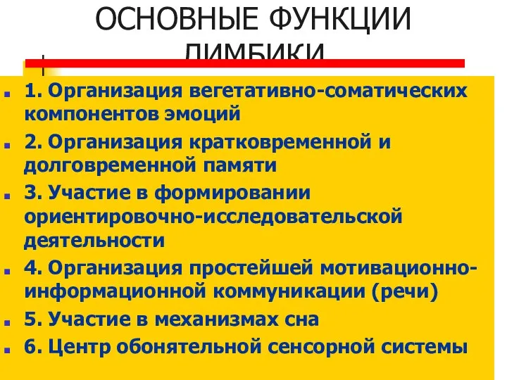 ОСНОВНЫЕ ФУНКЦИИ ЛИМБИКИ 1. Организация вегетативно-соматических компонентов эмоций 2. Организация кратковременной