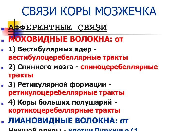 СВЯЗИ КОРЫ МОЗЖЕЧКА АФФЕРЕНТНЫЕ СВЯЗИ МОХОВИДНЫЕ ВОЛОКНА: от 1) Вестибулярных ядер