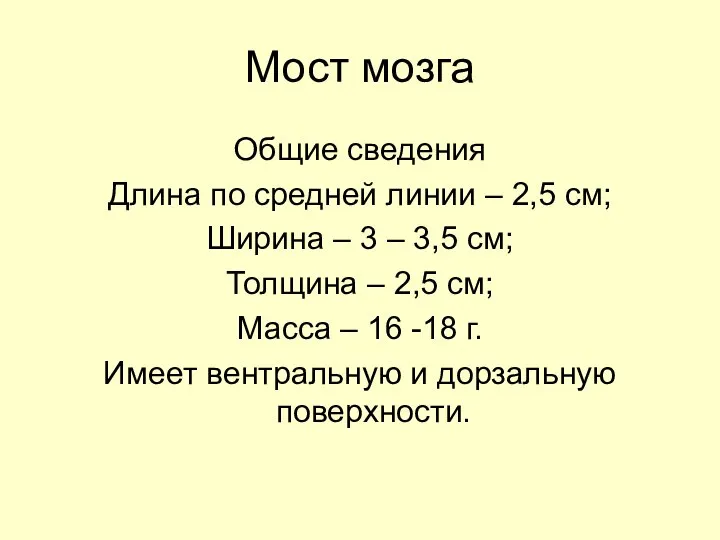 Мост мозга Общие сведения Длина по средней линии – 2,5 см;