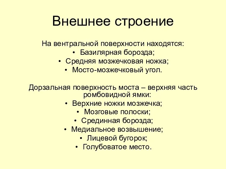 Внешнее строение На вентральной поверхности находятся: Базилярная борозда; Средняя мозжечковая ножка;