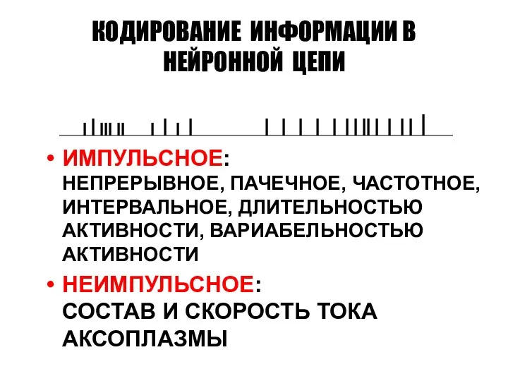 КОДИРОВАНИЕ ИНФОРМАЦИИ В НЕЙРОННОЙ ЦЕПИ ИМПУЛЬСНОЕ: НЕПРЕРЫВНОЕ, ПАЧЕЧНОЕ, ЧАСТОТНОЕ, ИНТЕРВАЛЬНОЕ, ДЛИТЕЛЬНОСТЬЮ