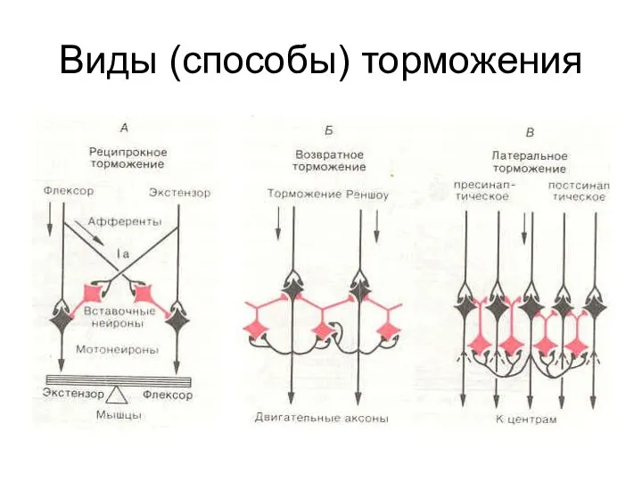 Виды (способы) торможения