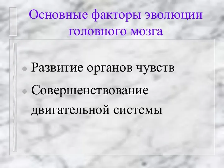 Основные факторы эволюции головного мозга Развитие органов чувств Совершенствование двигательной системы