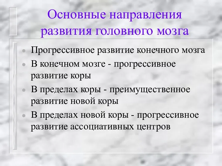 Основные направления развития головного мозга Прогрессивное развитие конечного мозга В конечном