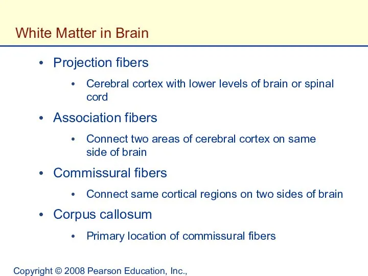 Copyright © 2008 Pearson Education, Inc., publishing as Benjamin Cummings. White