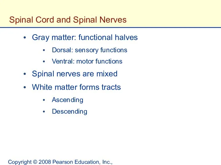 Copyright © 2008 Pearson Education, Inc., publishing as Benjamin Cummings. Spinal