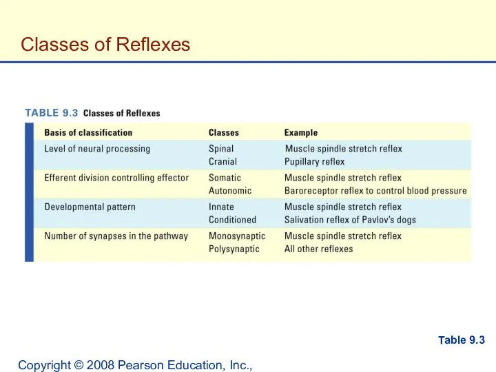 Copyright © 2008 Pearson Education, Inc., publishing as Benjamin Cummings. Classes of Reflexes Table 9.3