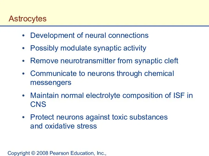 Copyright © 2008 Pearson Education, Inc., publishing as Benjamin Cummings. Astrocytes