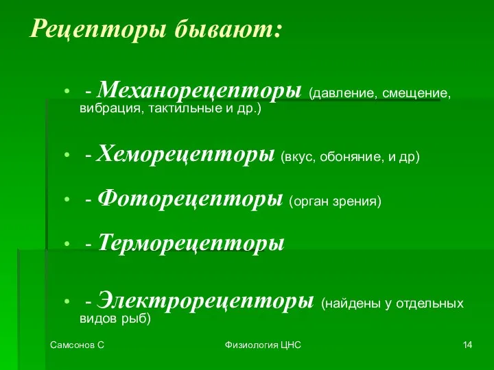 Самсонов С Физиология ЦНС Рецепторы бывают: - Механорецепторы (давление, смещение, вибрация,