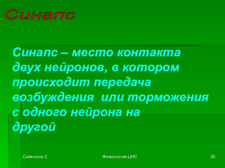 Самсонов С Физиология ЦНС Синапс Синапс – место контакта двух нейронов,