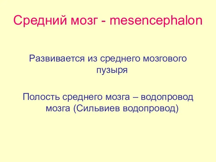 Средний мозг - mesencephalon Развивается из среднего мозгового пузыря Полость среднего