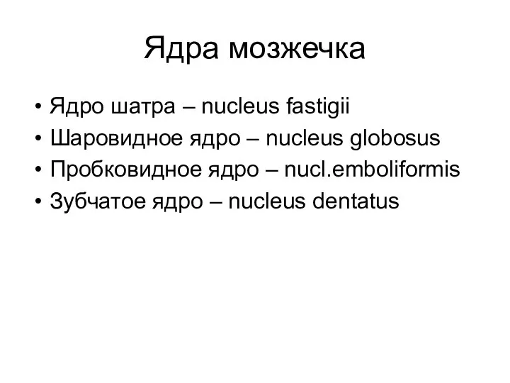 Ядра мозжечка Ядро шатра – nucleus fastigii Шаровидное ядро – nucleus