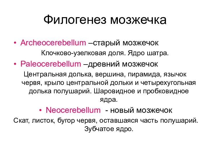 Филогенез мозжечка Archeocerebellum –старый мозжечок Клочково-узелковая доля. Ядро шатра. Paleocerebellum –древний