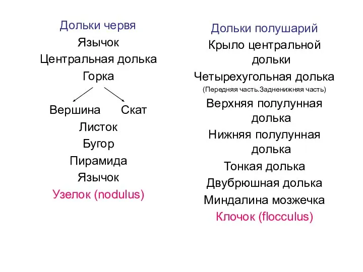 Дольки червя Язычок Центральная долька Горка Вершина Скат Листок Бугор Пирамида