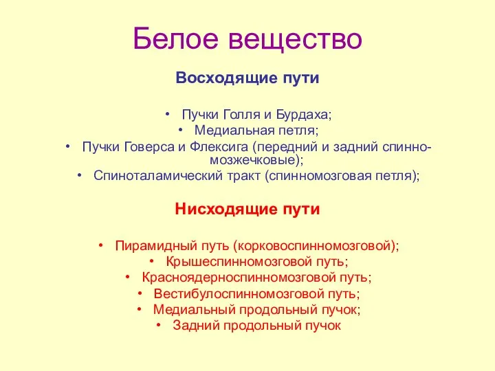 Белое вещество Восходящие пути Пучки Голля и Бурдаха; Медиальная петля; Пучки