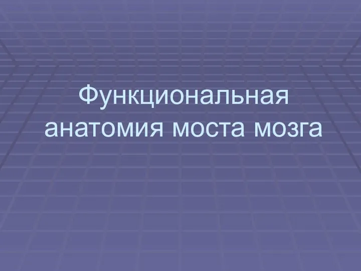 Функциональная анатомия моста мозга