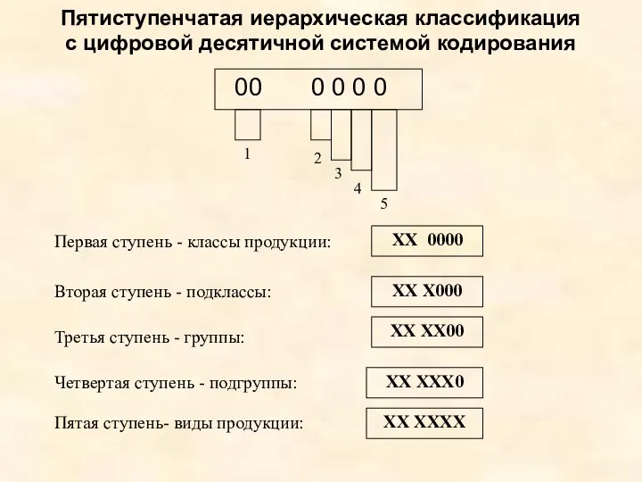 Пятиступенчатая иерархическая классификация с цифровой десятичной системой кодирования 00 0 0