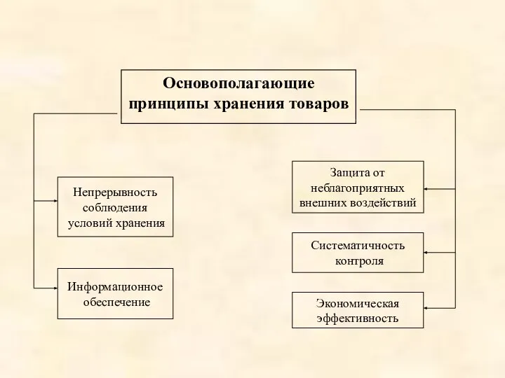 Основополагающие принципы хранения товаров Непрерывность соблюдения условий хранения Информационное обеспечение Защита