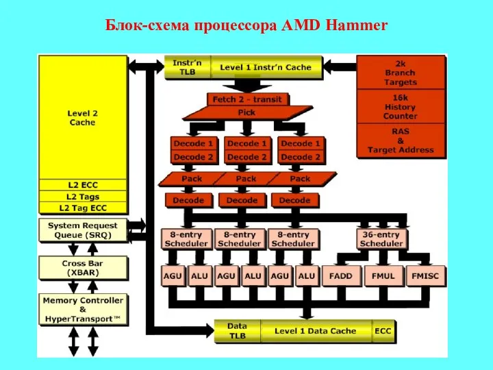 Блок-схема процессора AMD Hammer