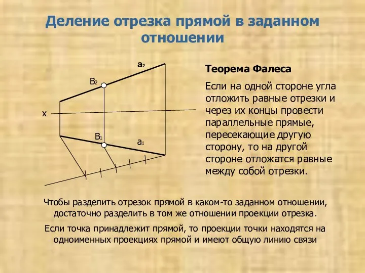 Деление отрезка прямой в заданном отношении Теорема Фалеса Если на одной