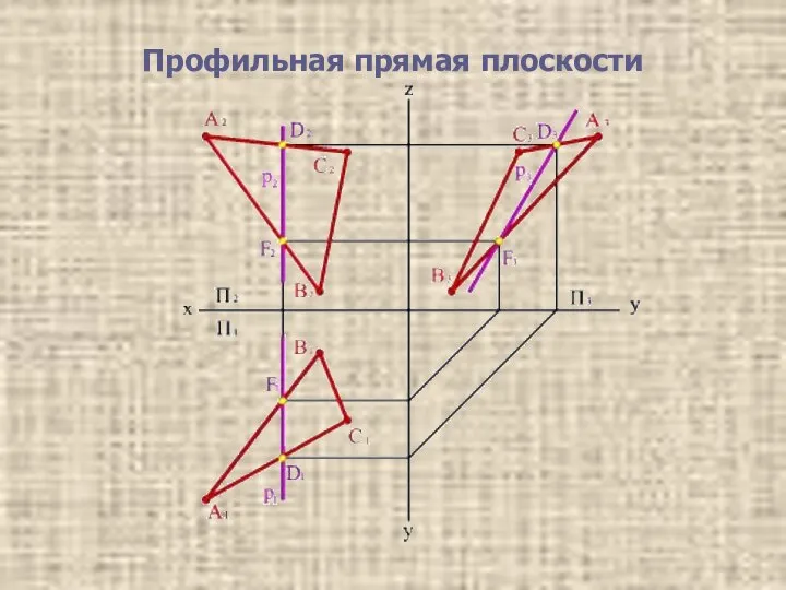 Профильная прямая плоскости