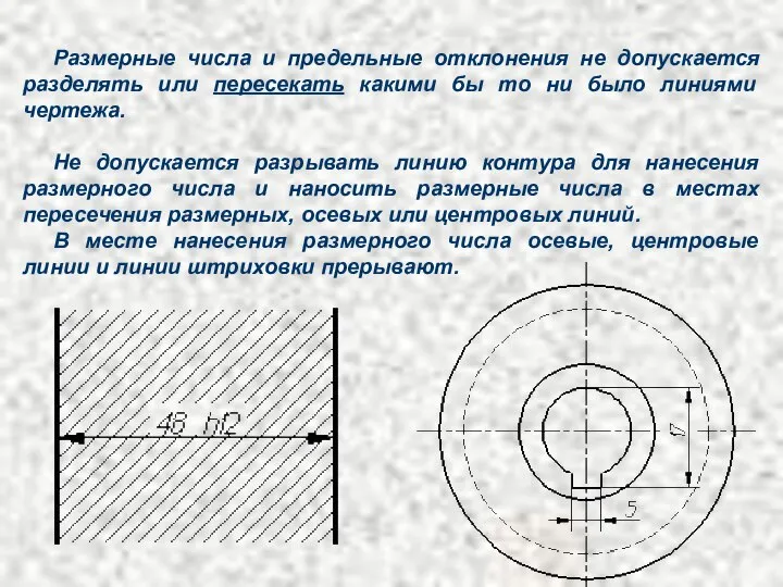 Размерные числа и предельные отклонения не допускается разделять или пересекать какими