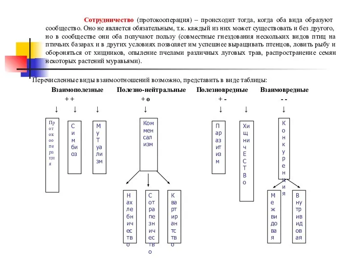 Сотрудничество (протокооперация) – происходит тогда, когда оба вида образуют сообщество. Оно