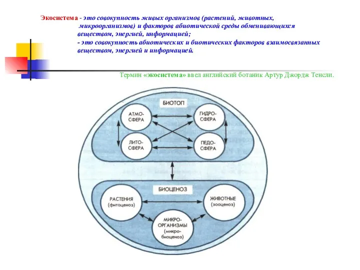 Экосистема - это совокупность живых организмов (растений, животных, микроорганизмов) и факторов