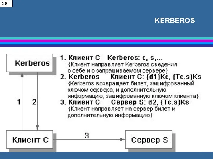 KERBEROS 28