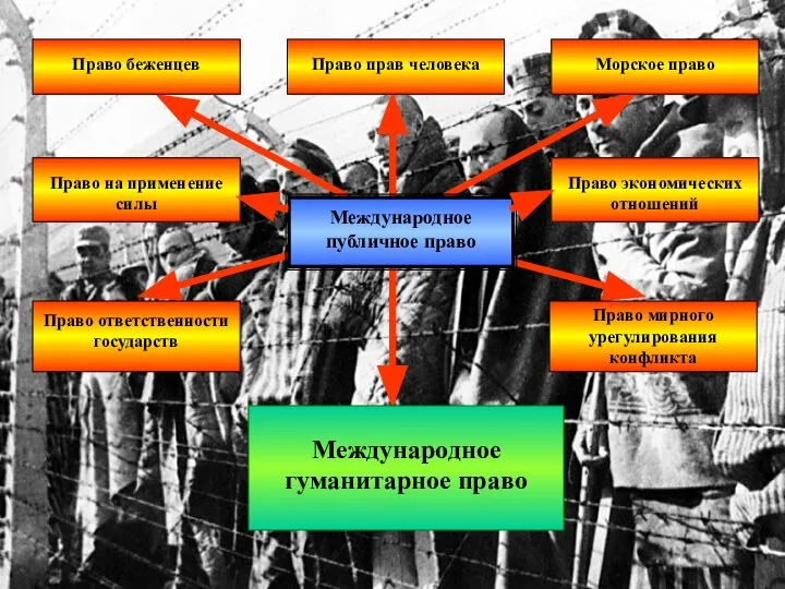 Международное публичное право Международное гуманитарное право Право ответственности государств Право экономических