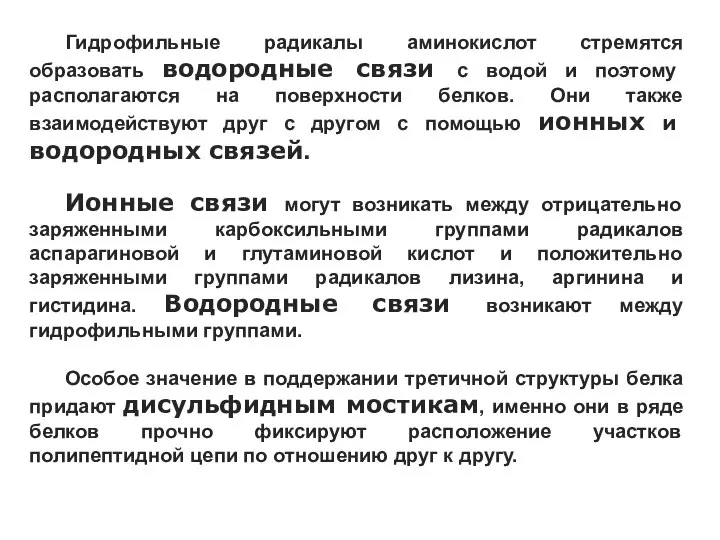 Гидрофильные радикалы аминокислот стремятся образовать водородные связи с водой и поэтому