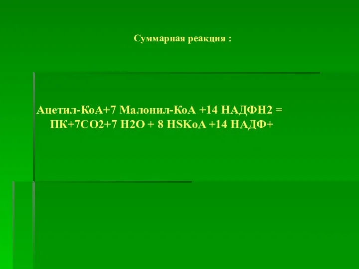 Суммарная реакция : Ацетил-КоА+7 Малонил-КоА +14 НАДФН2 = ПК+7СО2+7 Н2О + 8 HSKoA +14 НАДФ+