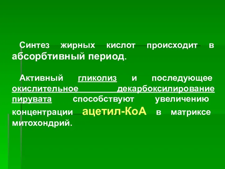 Синтез жирных кислот происходит в абсорбтивный период. Активный гликолиз и последующее