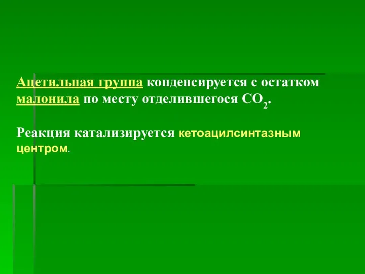 Ацетильная группа конденсируется с остатком малонила по месту отделившегося СО2. Реакция катализируется кетоацилсинтазным центром.