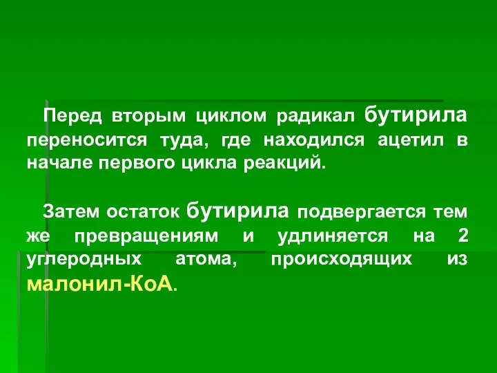 Перед вторым циклом радикал бутирила переносится туда, где находился ацетил в