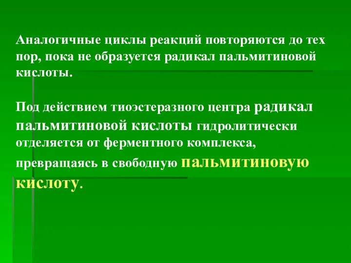 Аналогичные циклы реакций повторяются до тех пор, пока не образуется радикал