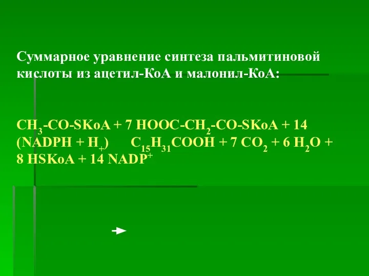 Суммарное уравнение синтеза пальмитиновой кислоты из ацетил-КоА и малонил-КоА: CH3-CO-SKoA +