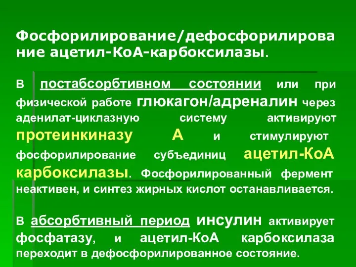 Фосфорилирование/дефосфорилирование ацетил-КоА-карбоксилазы. В постабсорбтивном состоянии или при физической работе глюкагон/адреналин через