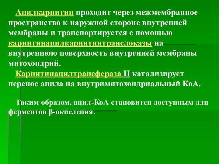 Ацилкарнитин проходит через межмембранное пространство к наружной стороне внутренней мембраны и