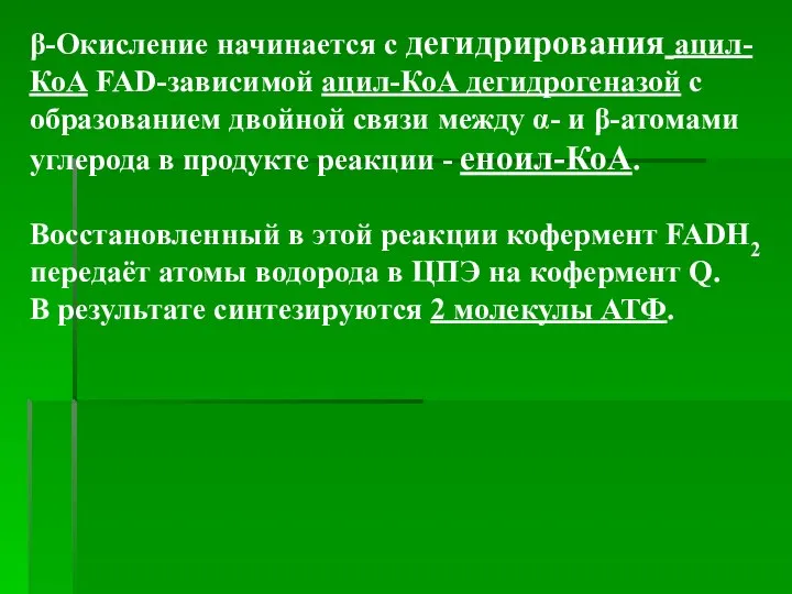 β-Окисление начинается с дегидрирования ацил-КоА FAD-зависимой ацил-КоА дегидрогеназой с образованием двойной