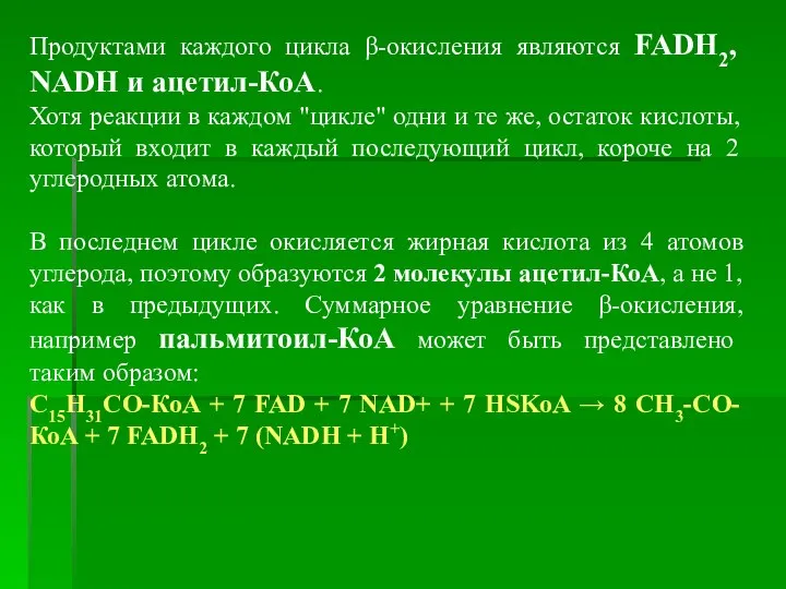 Продуктами каждого цикла β-окисления являются FADH2, NADH и ацетил-КоА. Хотя реакции