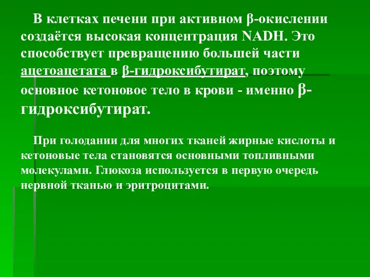 В клетках печени при активном β-окислении создаётся высокая концентрация NADH. Это