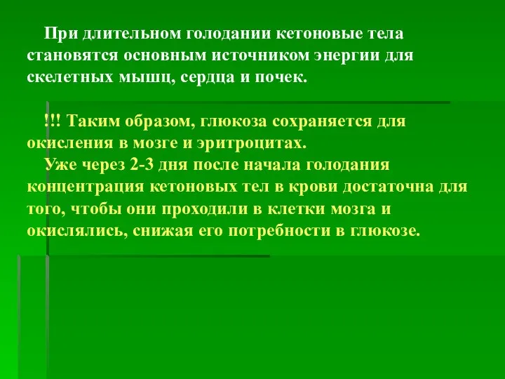 При длительном голодании кетоновые тела становятся основным источником энергии для скелетных