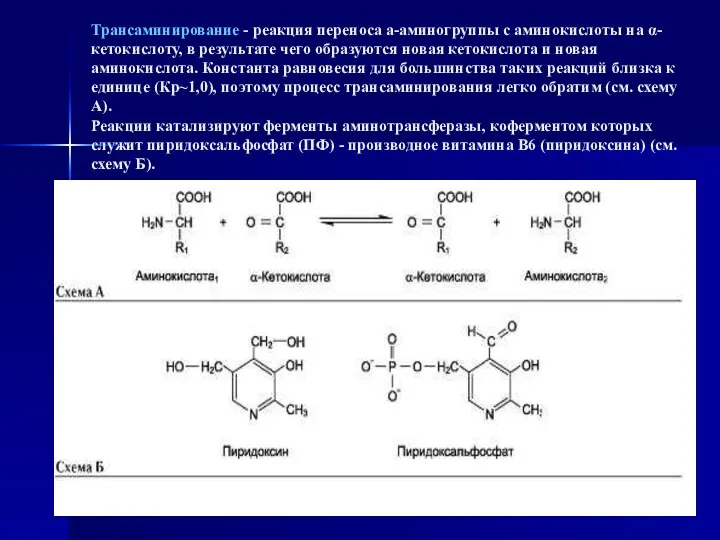 Трансаминирование - реакция переноса а-аминогруппы с аминокислоты на α-кетокислоту, в результате