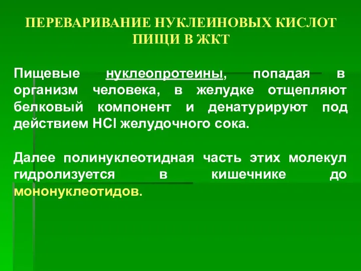 ПЕРЕВАРИВАНИЕ НУКЛЕИНОВЫХ КИСЛОТ ПИЩИ В ЖКТ Пищевые нуклеопротеины, попадая в организм